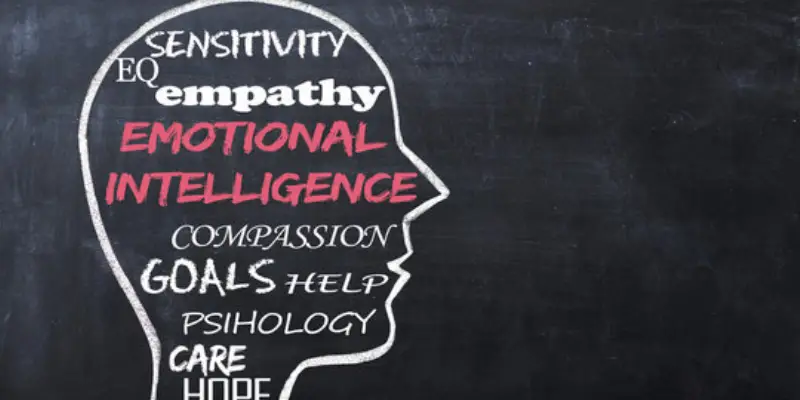 تاثیر هوش هیجانی بر تصمیم گیری های کلان